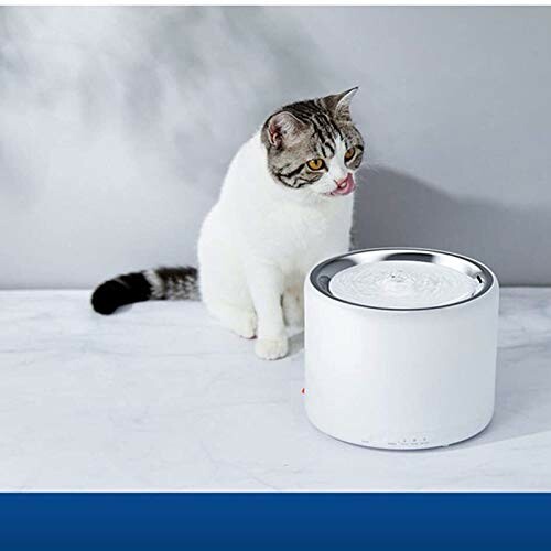 Cat sitting next to a water fountain.