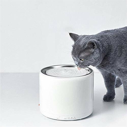 Gray cat drinking water from a white pet fountain.