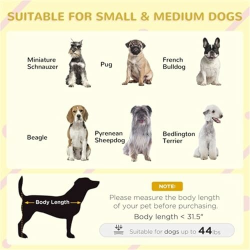 Guide for small and medium dog breeds: Miniature Schnauzer, Pug, French Bulldog, Beagle, Pyrenean Sheepdog, Bedlington Terrier, with body length measurement instructions.